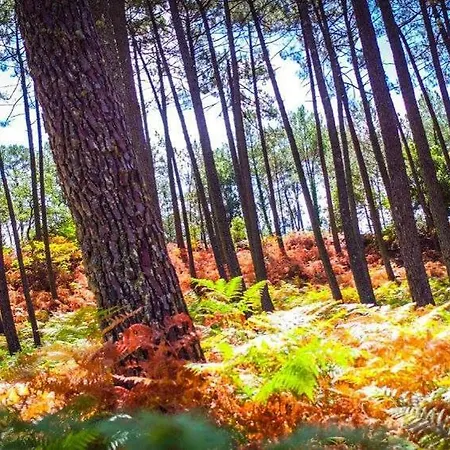 بيت للعطل Coeur Des Landes *